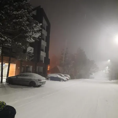 Pogled *